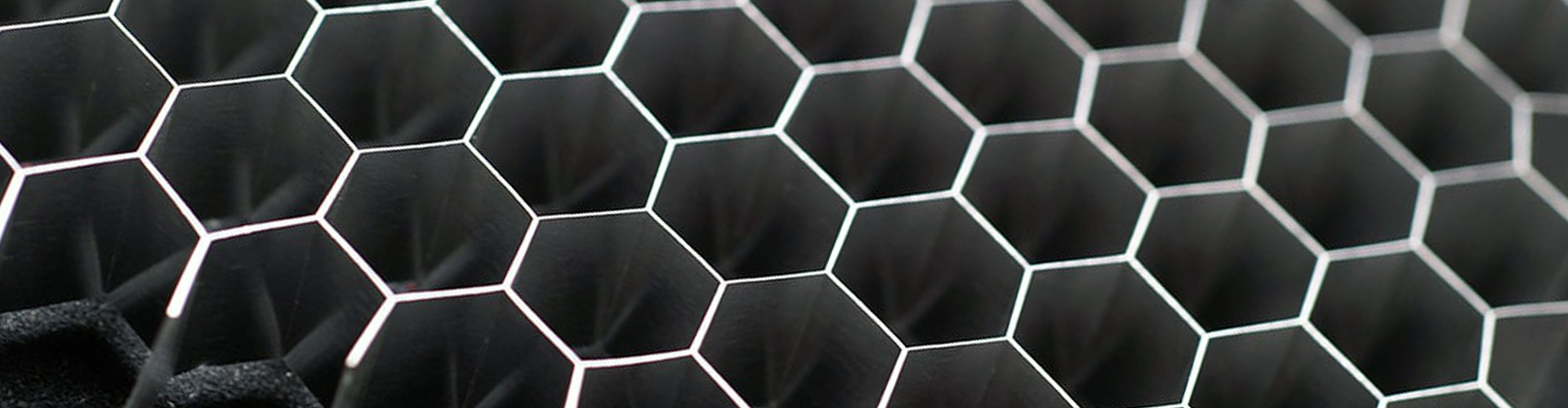 九游会集团（LSI）